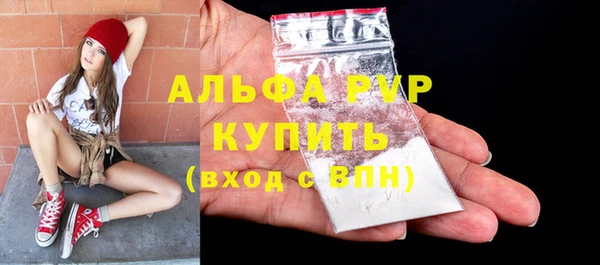ПСИЛОЦИБИНОВЫЕ ГРИБЫ Верея