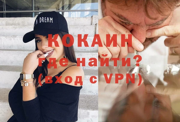 ПСИЛОЦИБИНОВЫЕ ГРИБЫ Верея