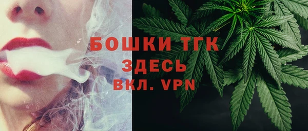 ПСИЛОЦИБИНОВЫЕ ГРИБЫ Верея
