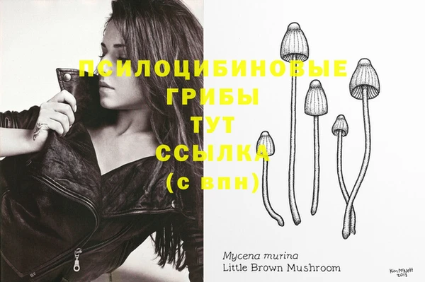 крисы Волоколамск