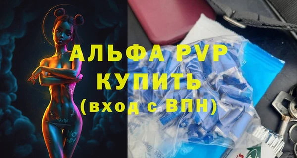 ПСИЛОЦИБИНОВЫЕ ГРИБЫ Верея