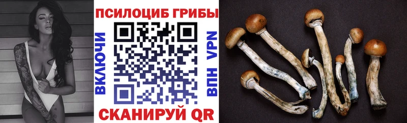 Псилоцибиновые грибы ЛСД  магазин продажи наркотиков  ОМГ ОМГ сайт  Вязники 