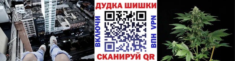 Бошки Шишки марихуана Вязники